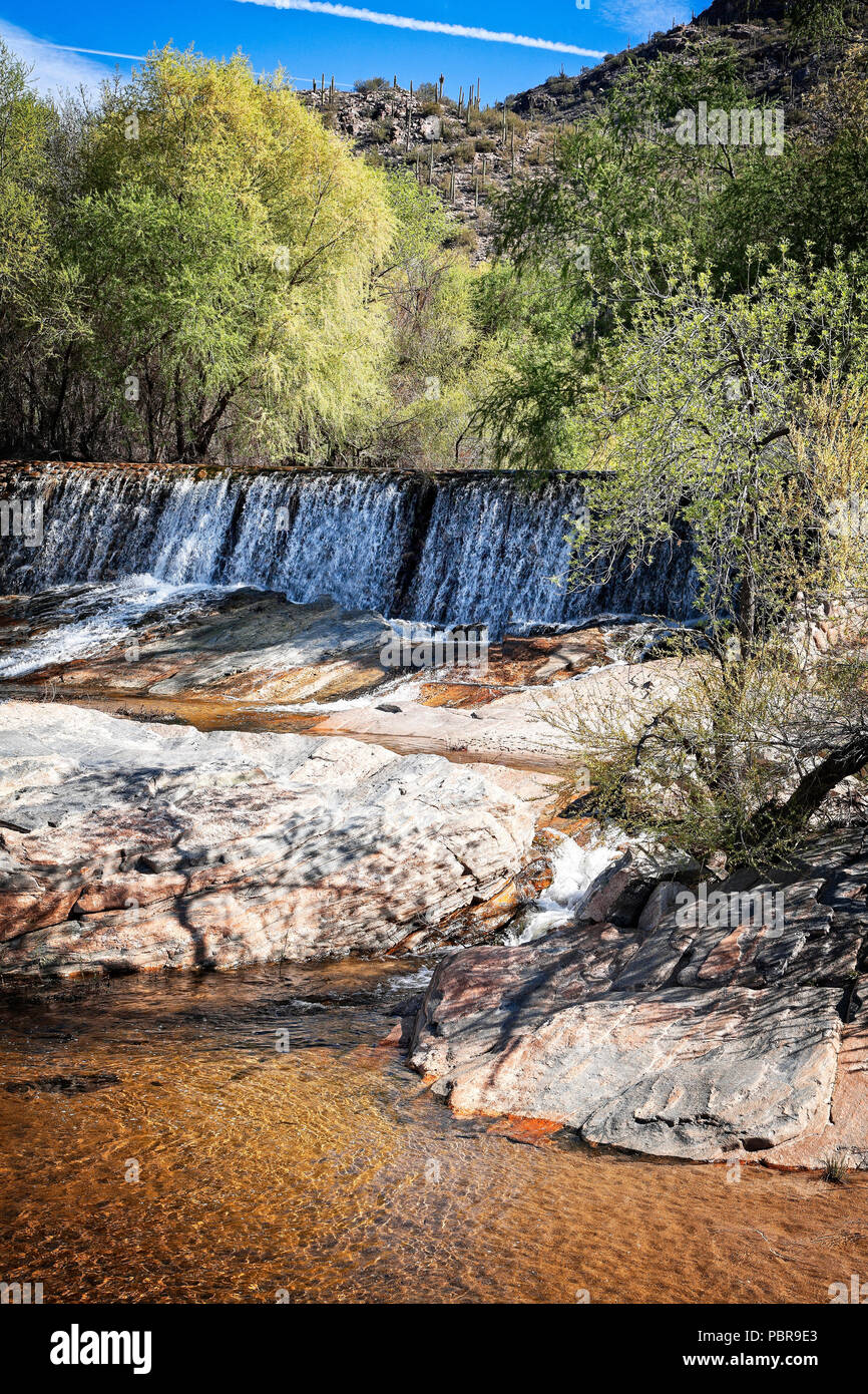 Sabino Canyon scende in Tucson, Arizona. Foto Stock