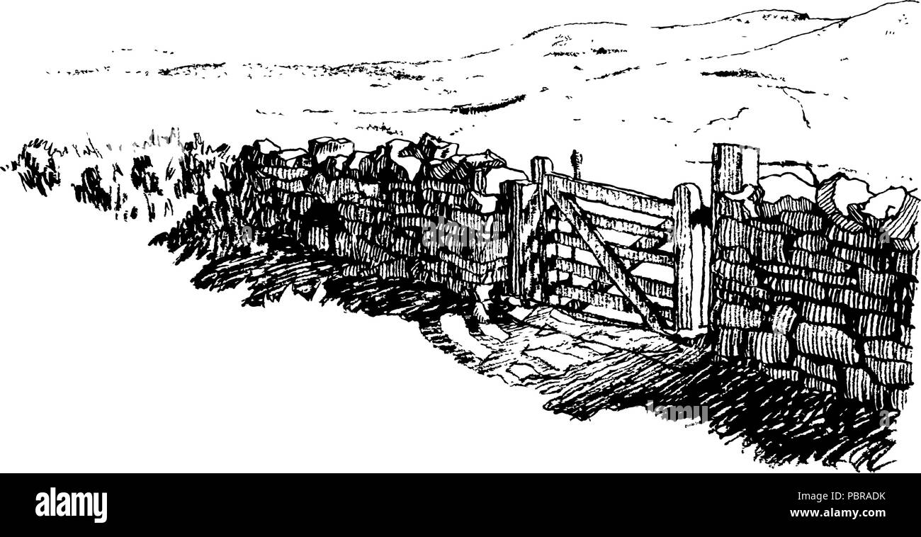 Pen-y-Ghent dall'Whernside Illustrazione Vettoriale
