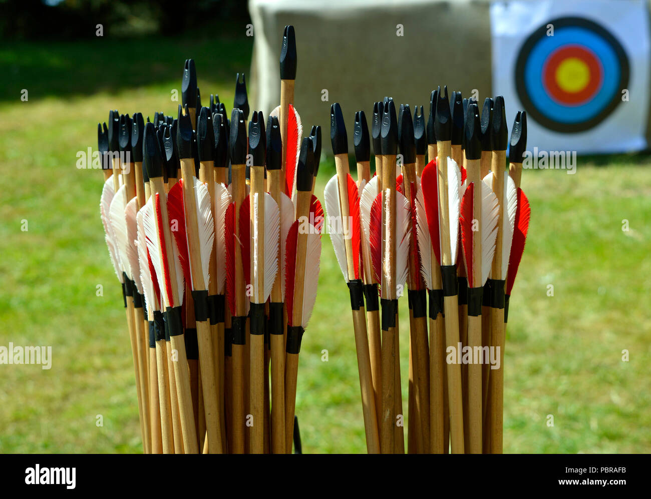 Close-up di una scatola di frecce che indicano la fletchings, frecce sono utilizzare per lo sport e la caccia Foto Stock