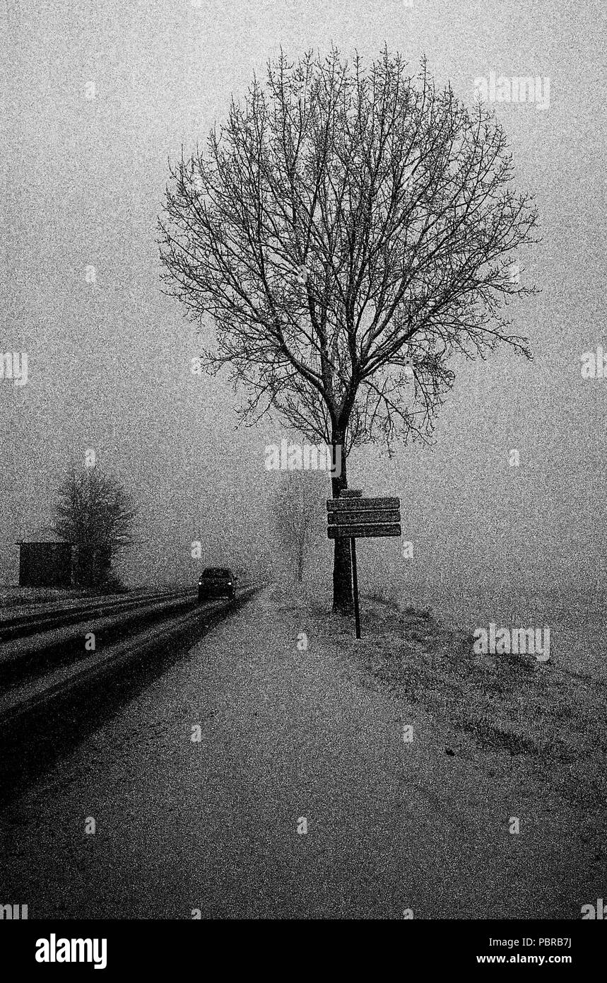 AJAXNETPHOTO. ALBERT, Francia. - Strada Romana - ALBERT A BAPAUME - BLIZZARD SU STRADA (D925) verso POZIERES. Foto:JONATHAN EASTLAND/AJAX CD REF92008BW 05 1A Foto Stock
