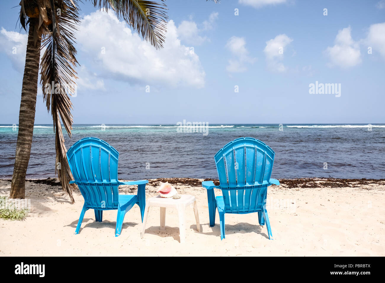 Due sedia blu sulla spiaggia e di fronte di masse di alghe lavato fino a spiagge di Isola Cayman Foto Stock
