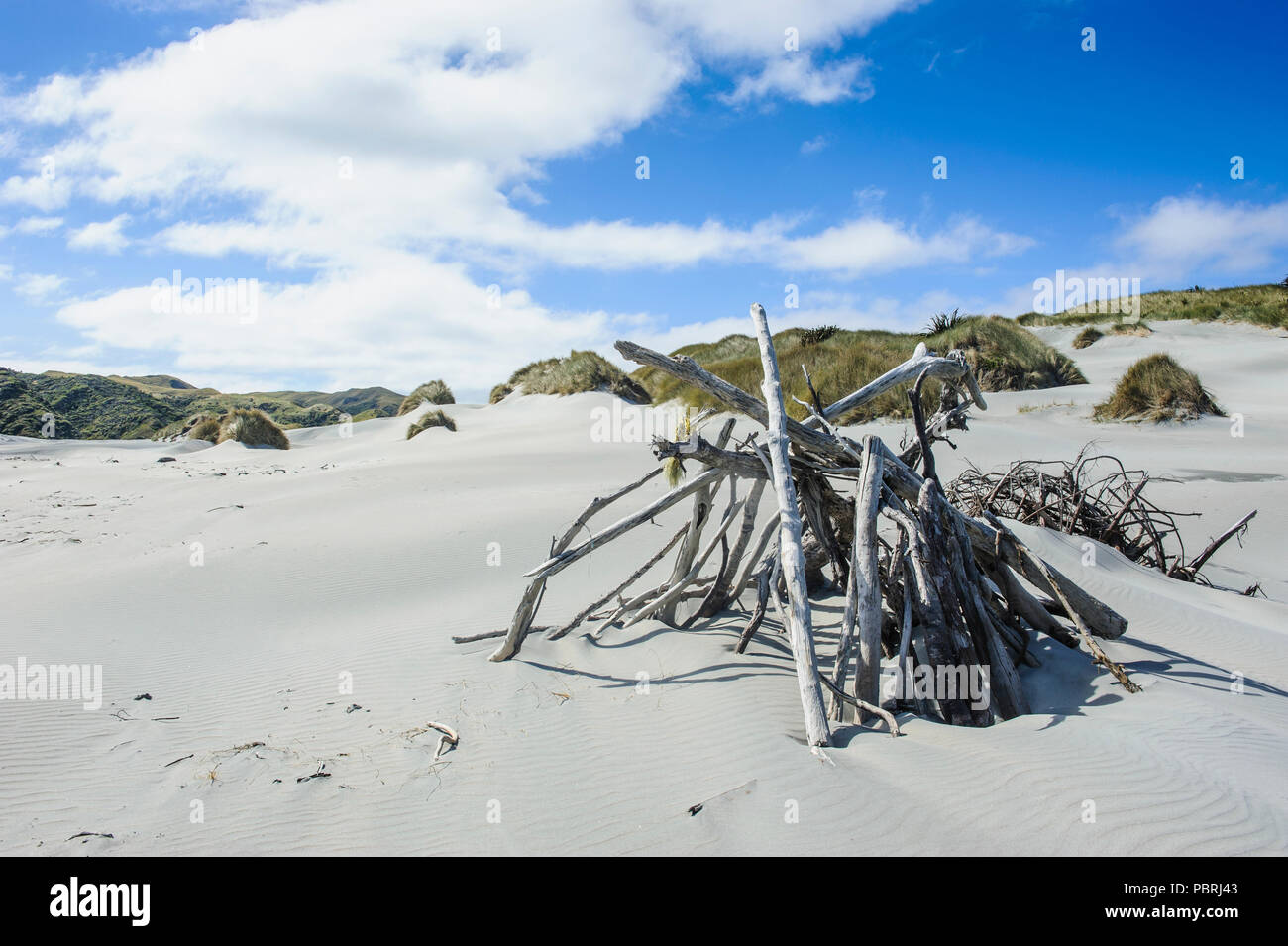 Driftwood in le bianche dune di sabbia sulla spiaggia Wharariki, Isola del Sud, Nuova Zelanda Foto Stock