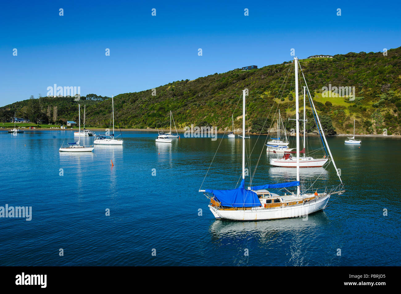 Barche a vela in Matiata bay sull isola di Waiheke, Isola del nord, Nuova Zelanda Foto Stock
