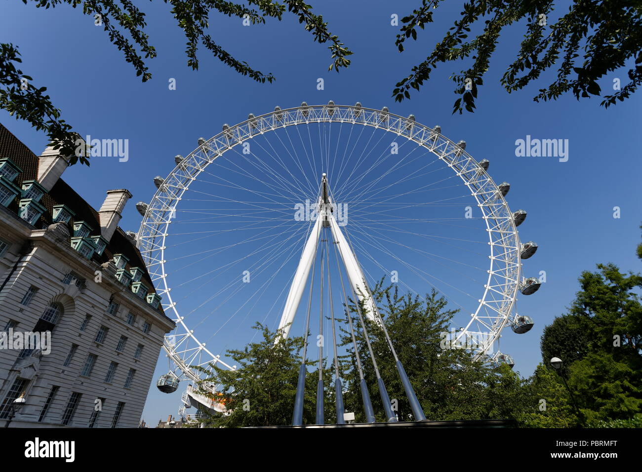 Il London Eye dal Jubilee Gardens South Bank di Londra Foto Stock