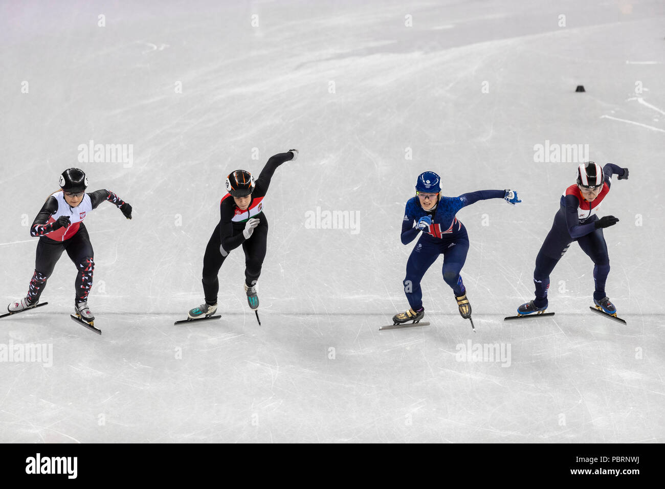 Elise Christie (GBR) #1, Lara van Ruijven (NED) #54, Magdalena Warakomska (POL) #31 e Andrea Keszler (HUN) #29 all'inizio della breve Via le donne Foto Stock