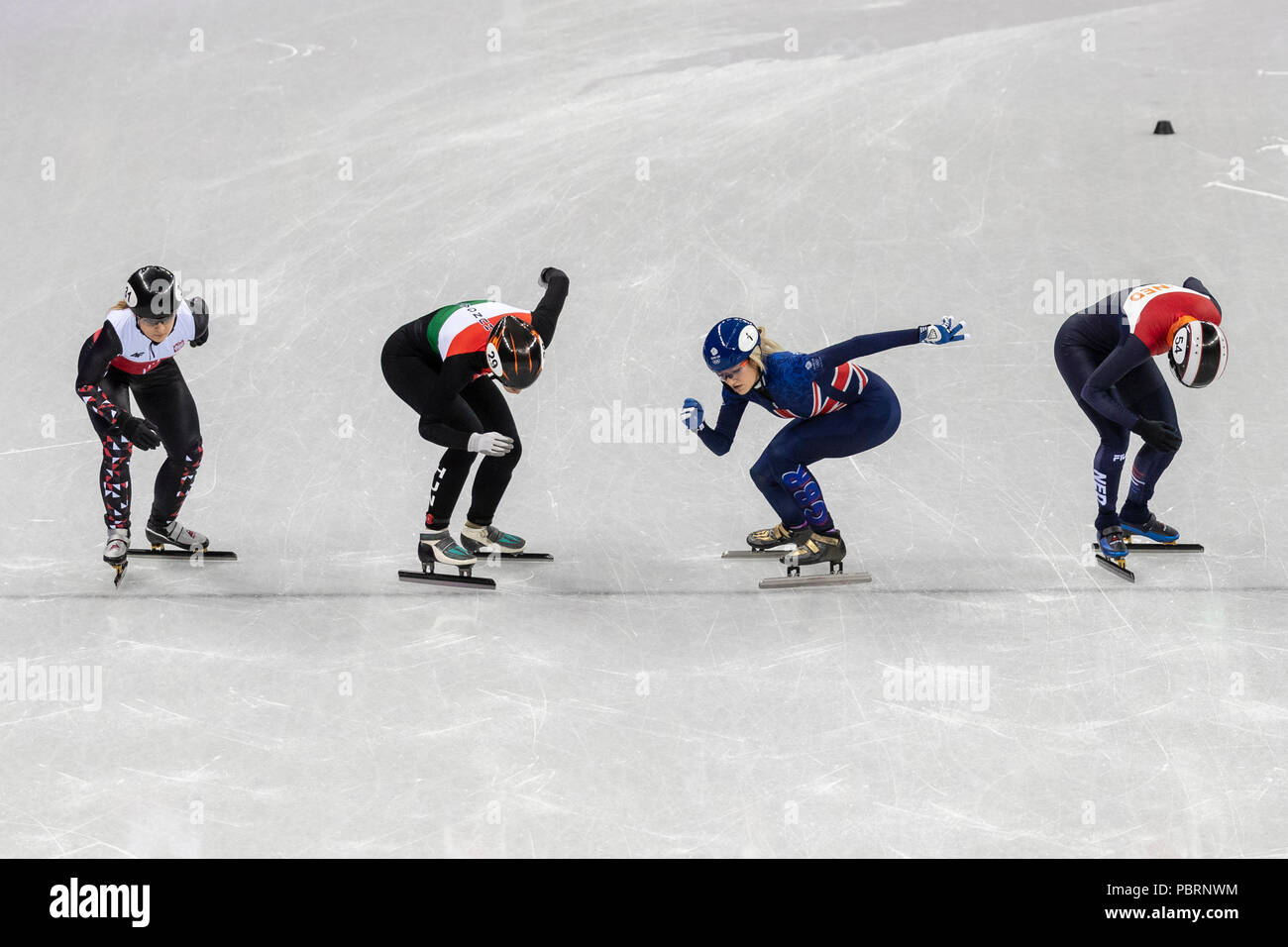 Elise Christie (GBR) #1, Lara van Ruijven (NED) #54, Magdalena Warakomska (POL) #31 e Andrea Keszler (HUN) #29 all'inizio della breve Via le donne Foto Stock