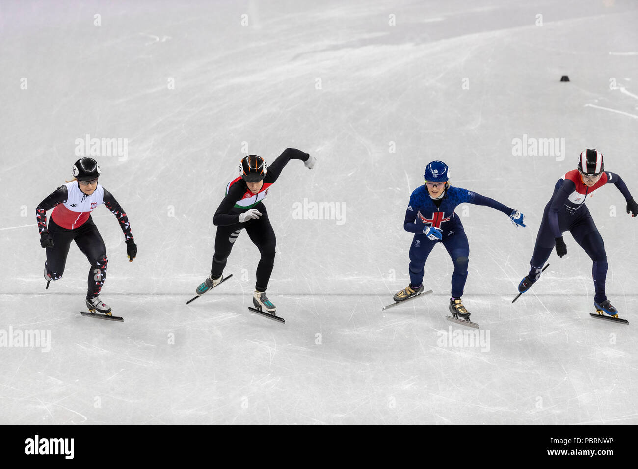 Elise Christie (GBR) #1, Lara van Ruijven (NED) #54, Magdalena Warakomska (POL) #31 e Andrea Keszler (HUN) #29 all'inizio della breve Via le donne Foto Stock