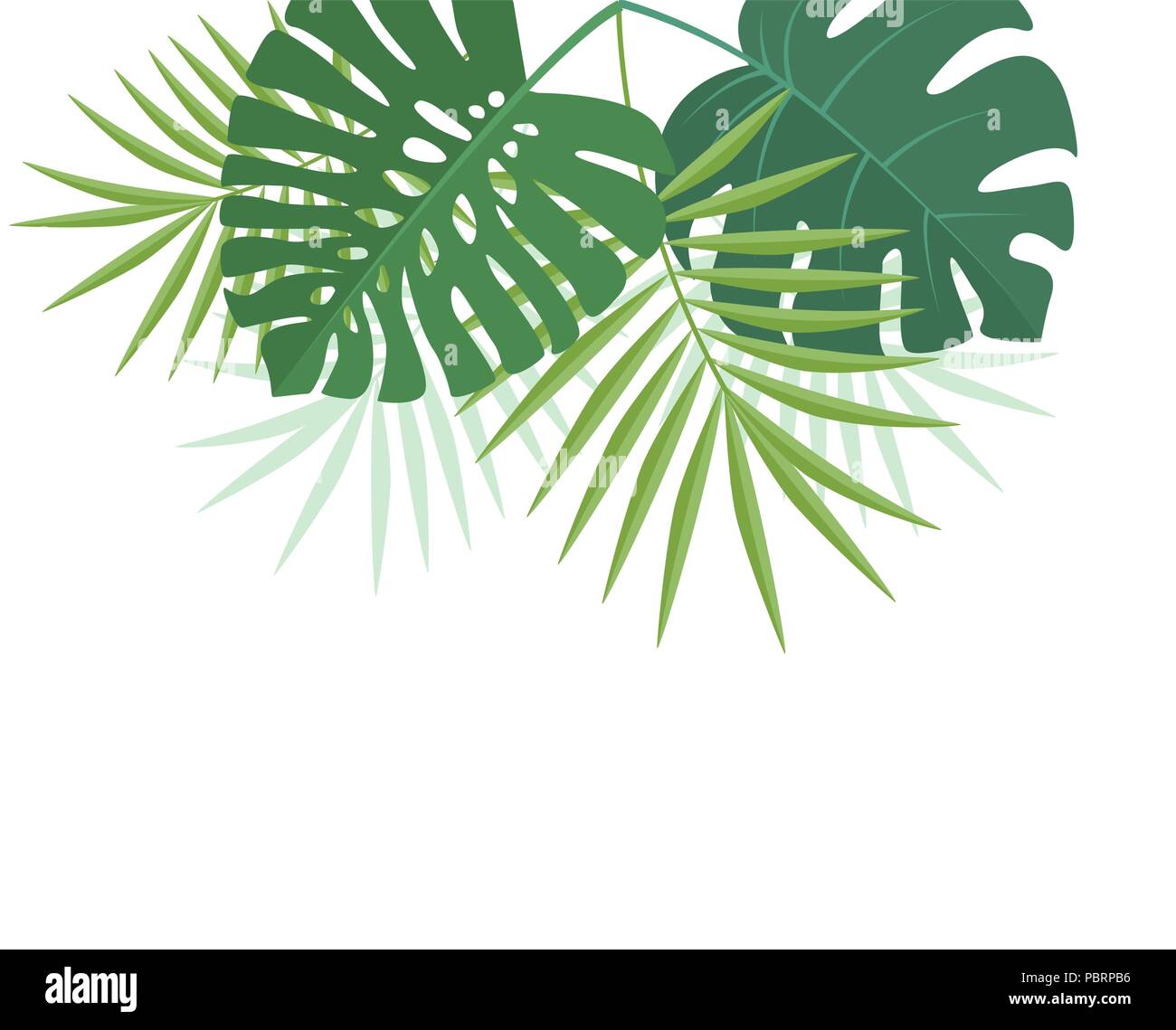 Illustrazione Vettoriale di sfondo naturale con palm foglie verdi. Esotico Verde foglie di albero Illustrazione Vettoriale