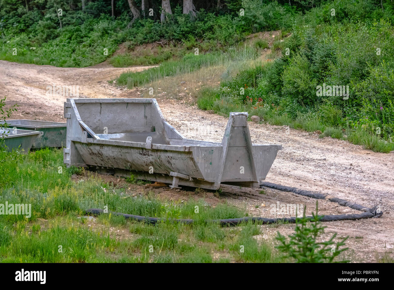 Cassonetto sul bordo del sentiero Foto Stock