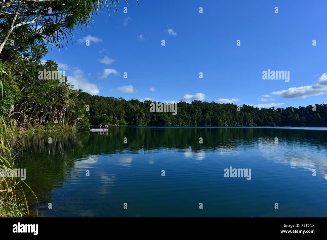 Lago Eacham, laghi cratere National Park, altopiano di Atherton, QLD, Australia Foto Stock