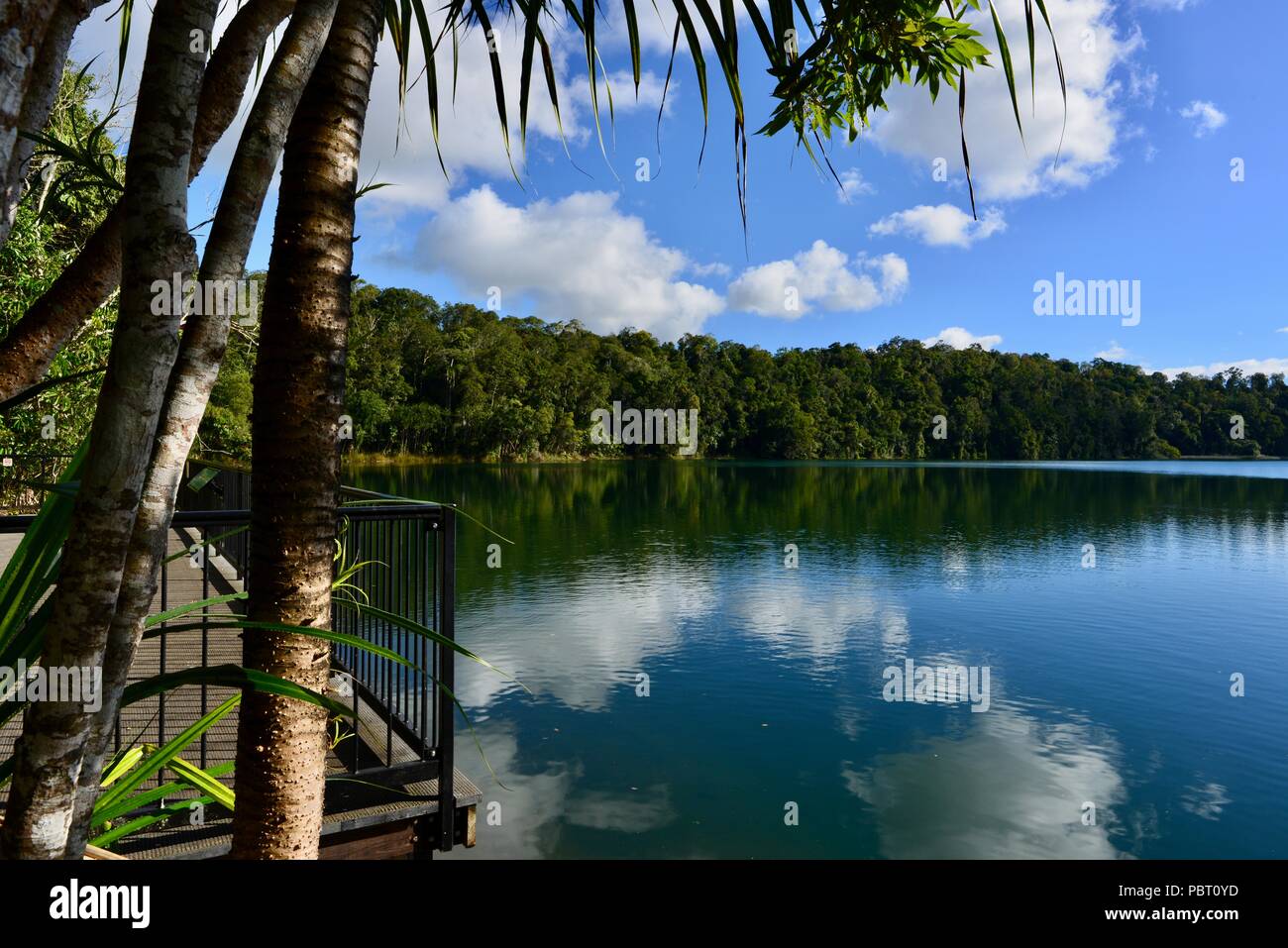 Lago Eacham, laghi cratere National Park, altopiano di Atherton, QLD, Australia Foto Stock