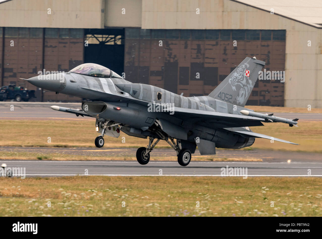 F-16C Fighting Falcon, polacco Air Force, tigre, Foto Stock