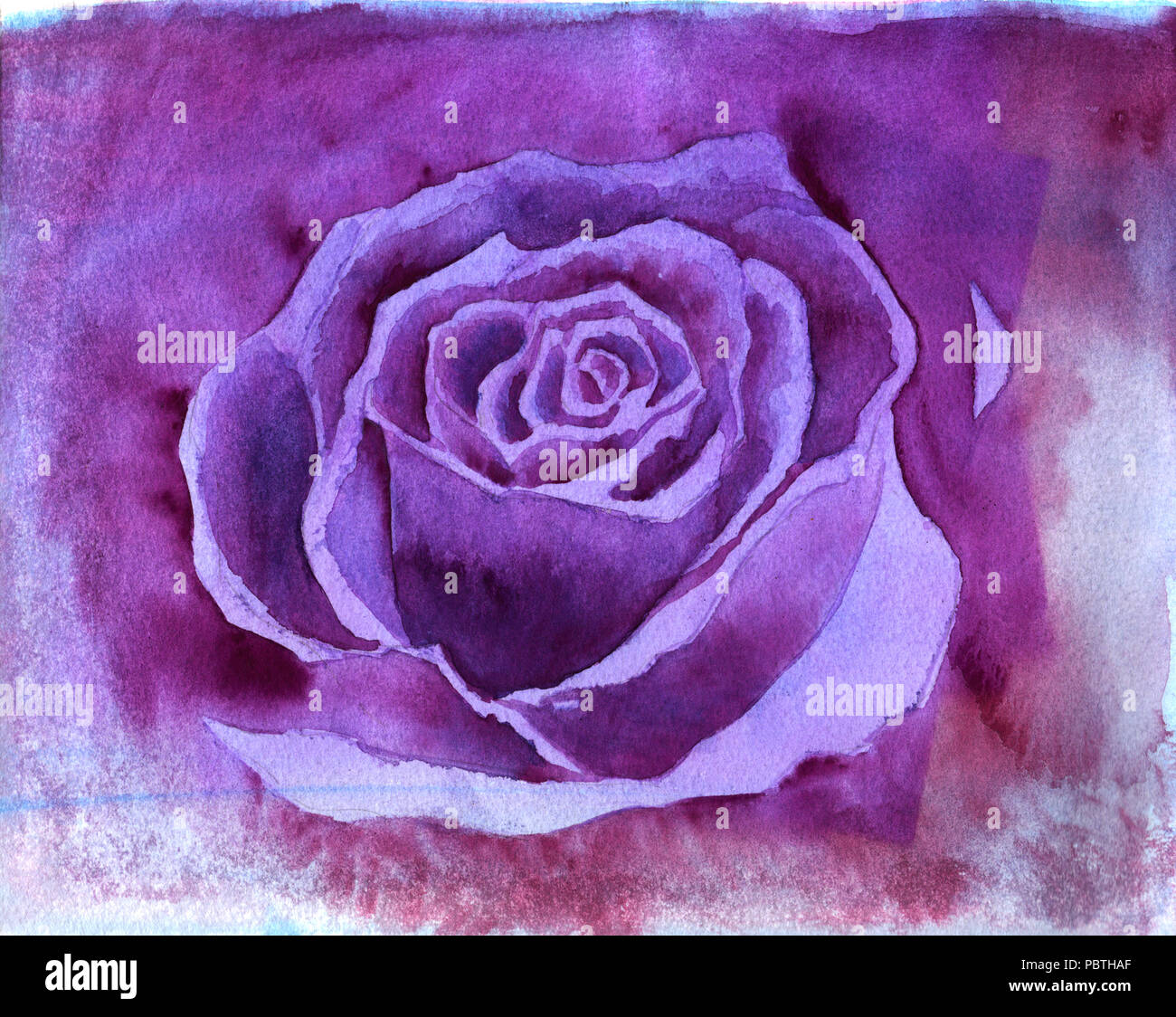 Di petali di rose acquerello lo sfondo dell'illustrazione Foto Stock