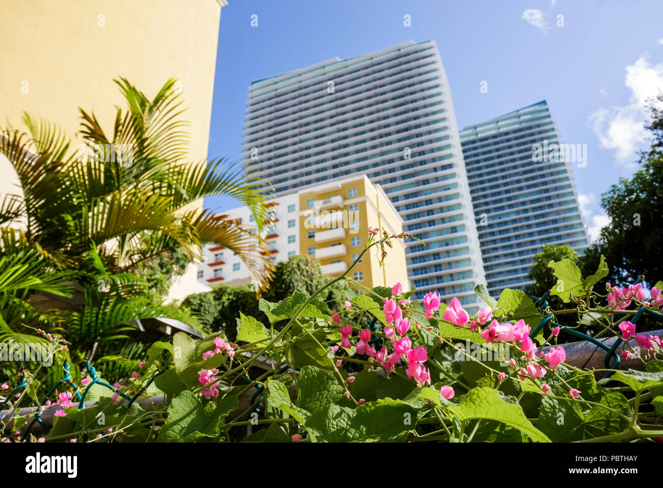 Miami Florida, Brickell Area, grattacielo, edificio, grattacielo alto grattacielo edifici edificio multi famiglia abitazione, appartamento condominio residenziale Foto Stock
