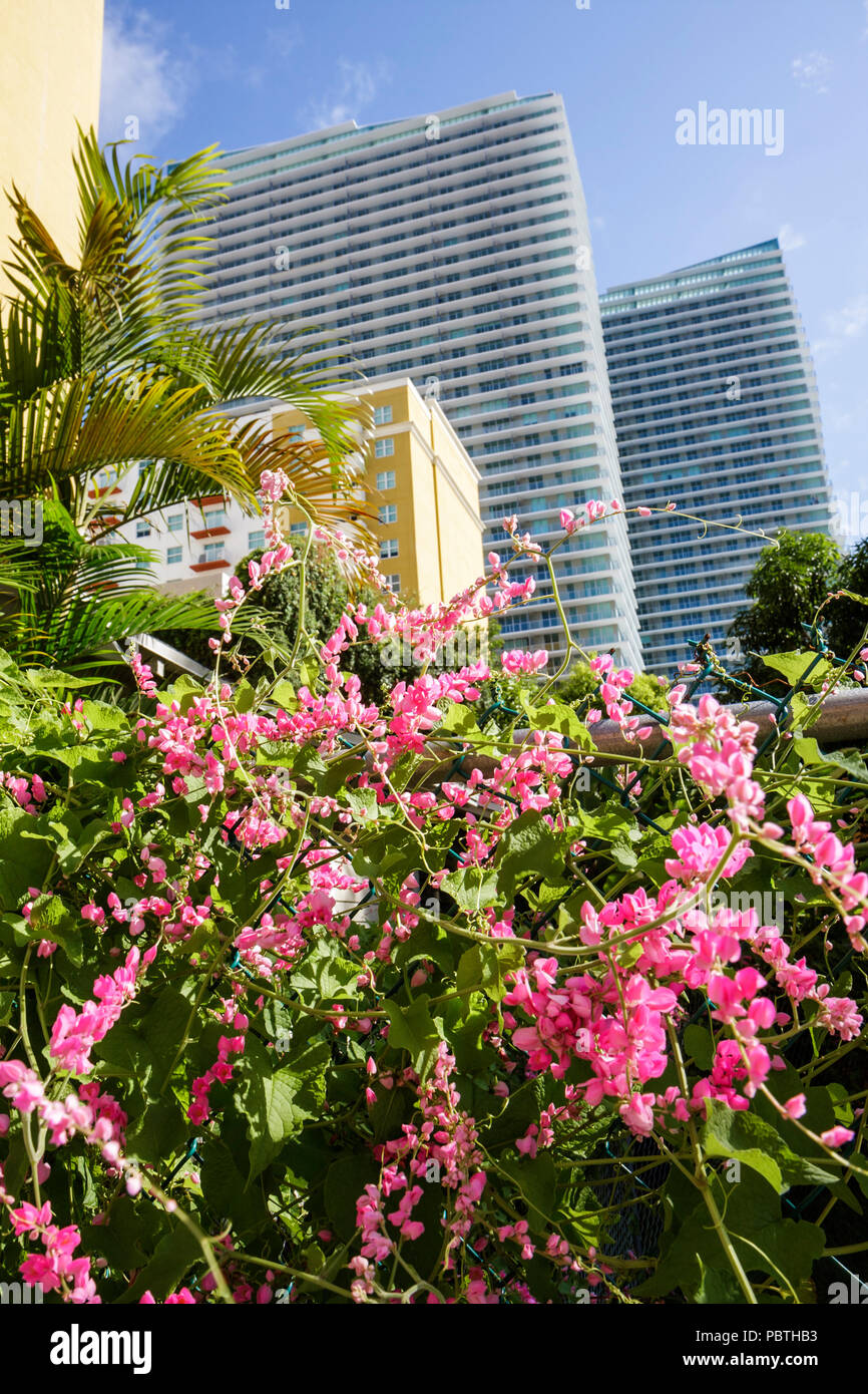 Miami Florida, Brickell Area, grattacielo, edificio, grattacielo alto grattacielo edifici edificio multi famiglia abitazione, appartamento condominio residenziale Foto Stock