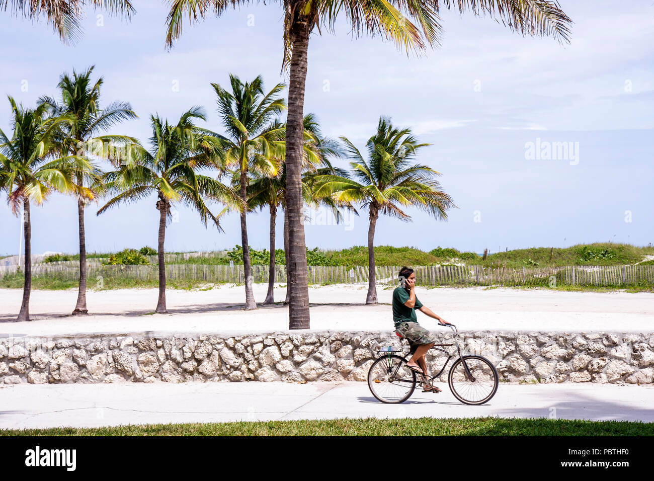 Miami Beach Florida, Lummus Park, uomo asiatico maschio, ciclista, bicicletta, bicicletta, equitazione, ciclismo, rider, bicicletta, muro di pietra corallina, palme, albero, percorso in bicicletta, recre Foto Stock