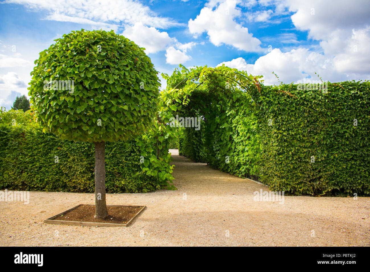 Parco di Rundale Palace Foto Stock