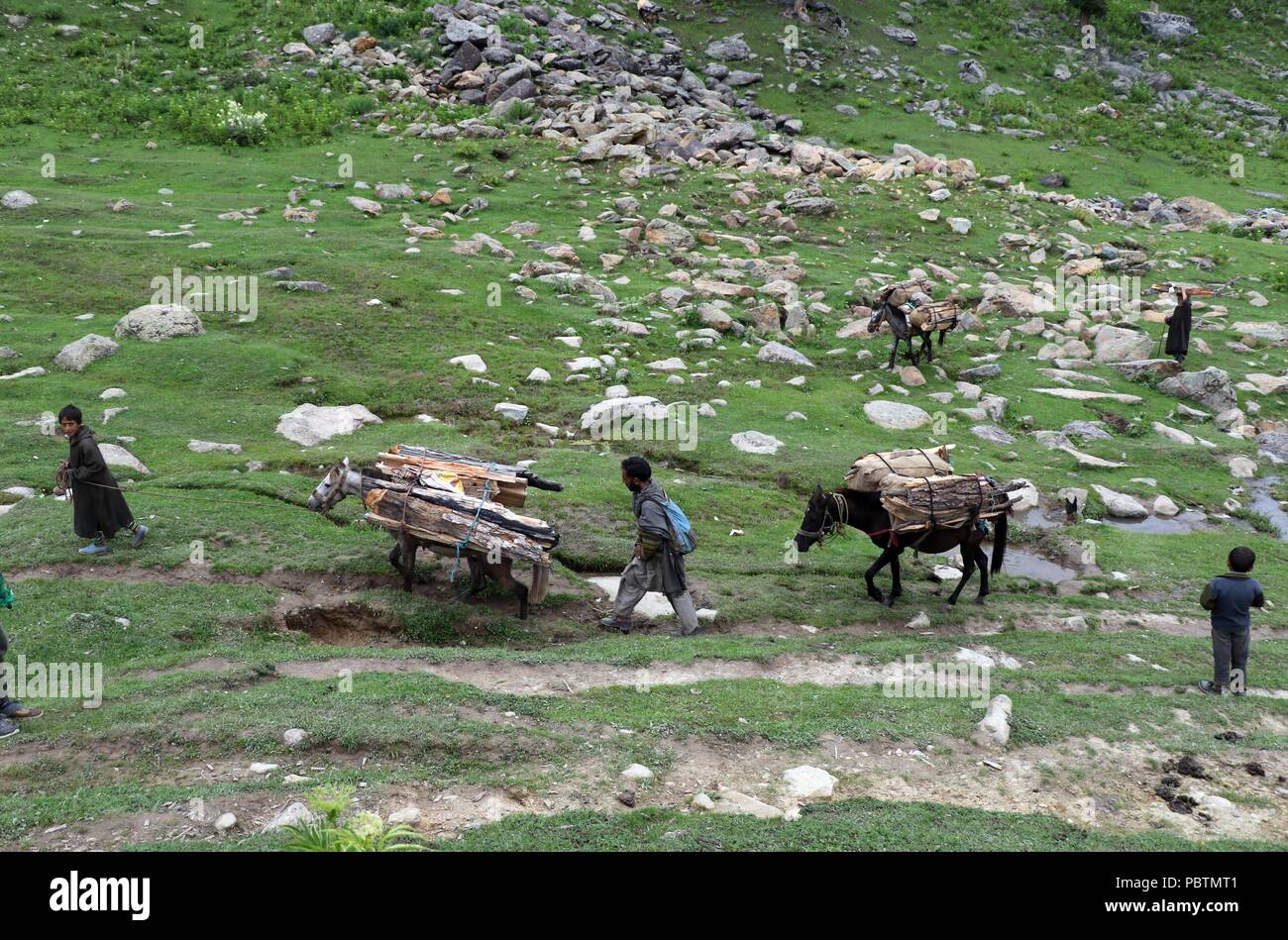 Famiglia Gujjar trasportare la legna per uso domestico in Tosa Maidaïen situato nel distretto di Budgam in Kashmir centrale 70 Km(43km) dal capitale estiva dello stato a Srinagar in Indian somministrato Jammu e Kashmir. È circondata da fitti boschi e vegetazione controllata himalayana del Kashmir. Il governo aveva preso in affitto a esercito indiano nel 1964 per l'impostazione di un'artiglieria poligono di tiro per 50 anno di leasing, che si è conclusa il 18 aprile 2014. Il governo dello stato dichiarato Tosa Maidaïen come una destinazione turistica il 31 luglio 2015. A 10Km Strada dalla base del pittoresco prato viene costruita dal Foto Stock