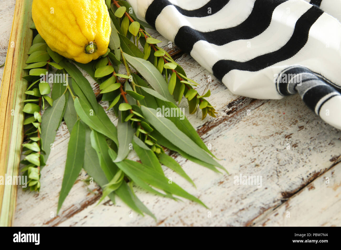 Festa ebraica di Sukkot. Simboli tradizionali (le quattro specie): Etrog, lulav, hadas, arava Foto Stock