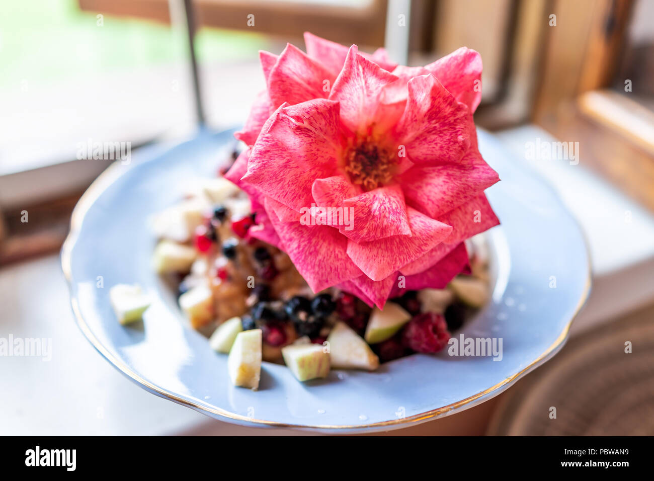 Macro closeup di una grande rosa petali di rosa decorazione commestibile sulla piastra di sano vegan dessert gelato con frutta mele, bacche davanzale home Foto Stock