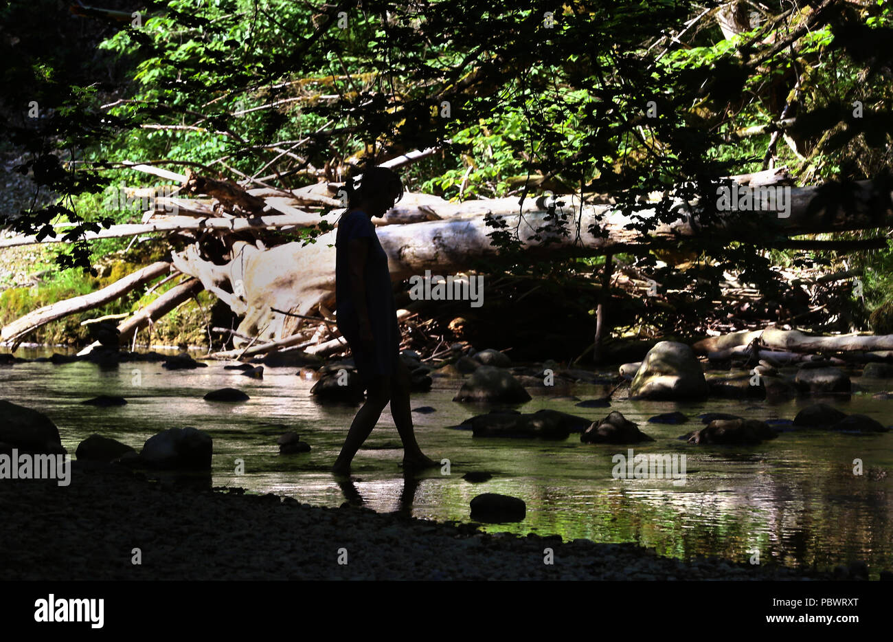 Maierhoefen, Germania. Il 30 luglio, 2018. 30.07.2018, Baviera, Maierhöfen: Le persone sono alla ricerca di raffreddamento nelle fresche acque del Argen superiore nel piano di ghiaccio Gorge. Credito: Karl-Josef Hildenbrand/dpa/Alamy Live News Foto Stock