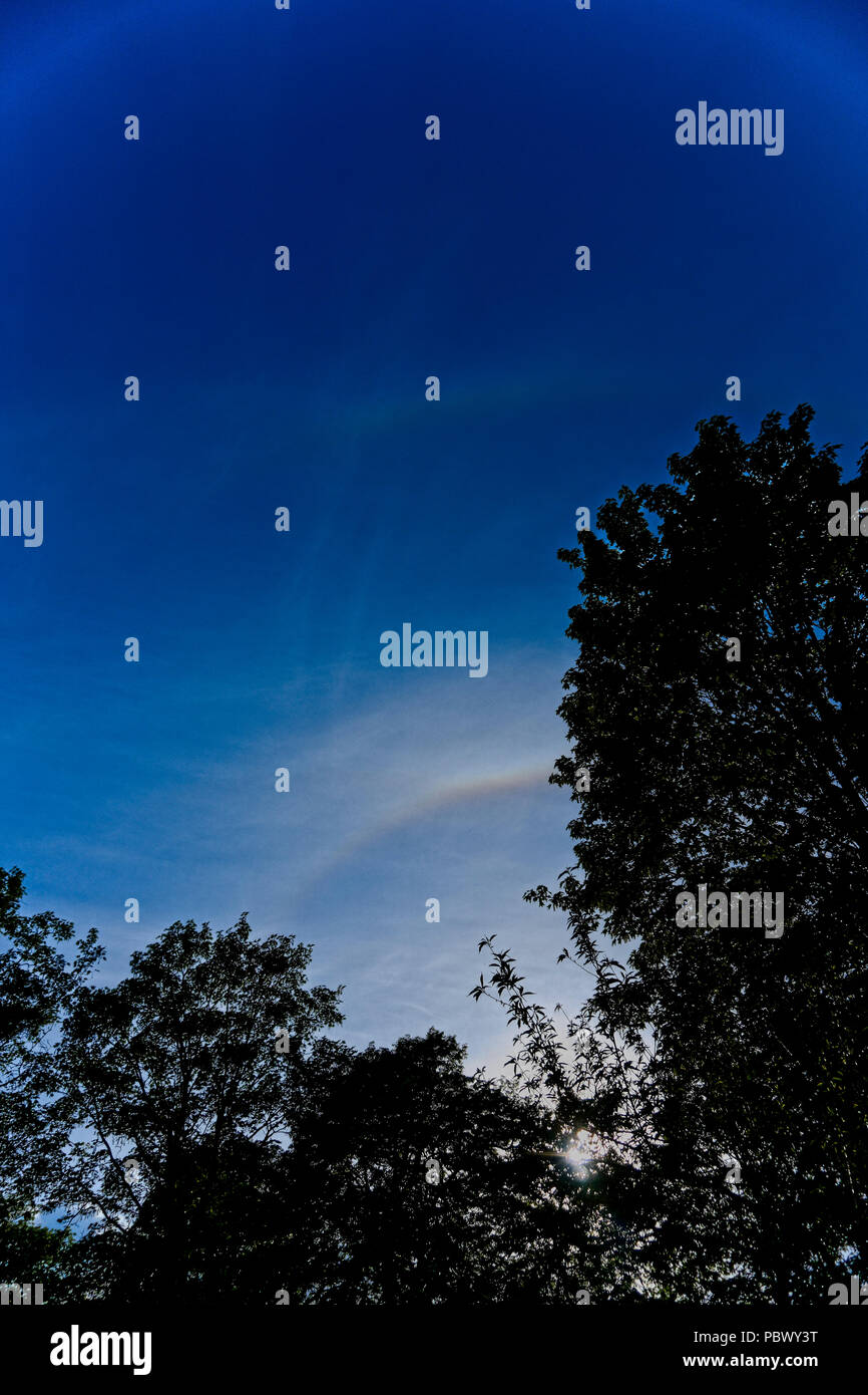Stagliano alberi con cielo blu e doppio arcobaleno Foto Stock