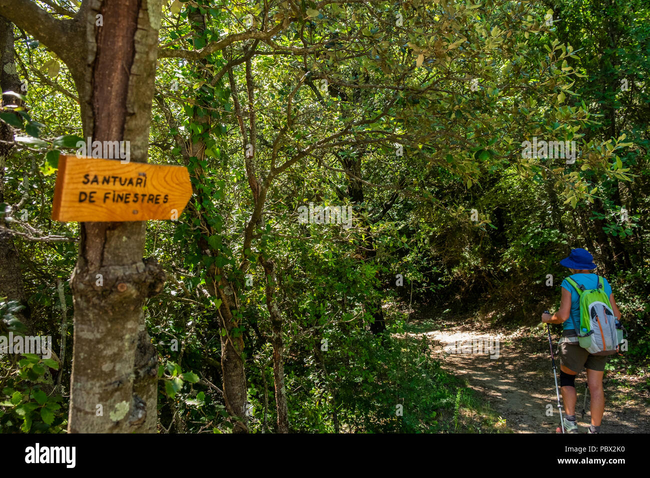 La donna gli escursionisti a piedi sul sentiero attraverso la foresta che conduce fino al Santuario di Santa Maria de Finestres vicino a Santa Pau, Catalogna, Spagna Foto Stock