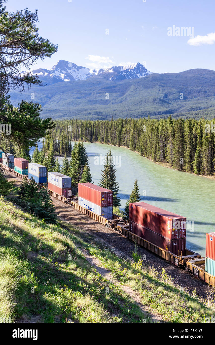 Un treno merci della Canadian Pacific Railway acceso accanto al Fiume Bow e Montagne Rocciose presso il Castello Junction NW di Banff, Alberta, Canada Foto Stock