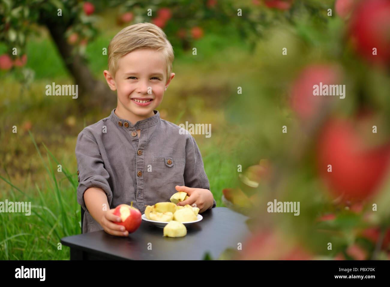 Poco, cinque anni, ragazzo aiutando con la raccolta e la raccolta di mele dal melo, tempo d'autunno. Bambino la raccolta di mele sulla fattoria in autunno. Foto Stock