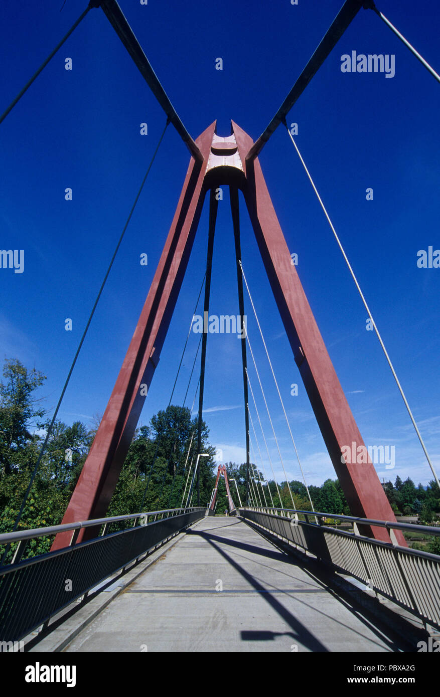 Peter DeFazio Bridge, Alton Baker Park, Eugene, Oregon Foto Stock