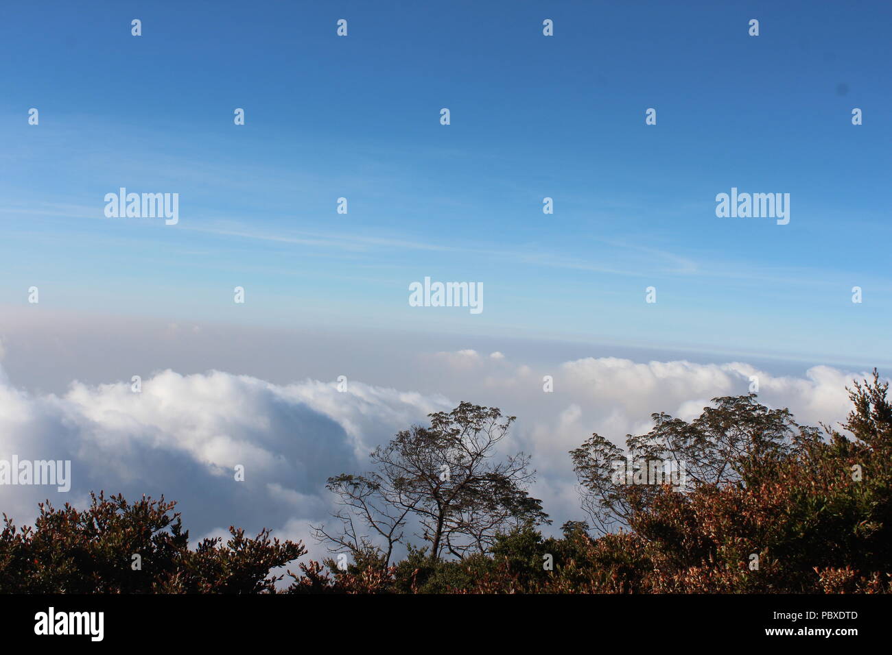 Stai cercando il luogo tranquillo dopo crazy dayli attività? Foto Stock
