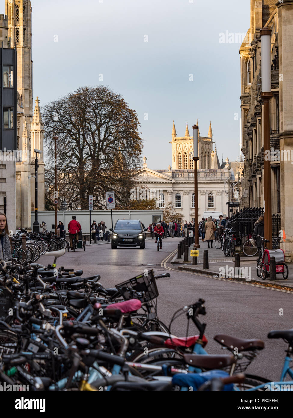 Viste lungo Trumpington Street verso kings Parade, Cambridge, Inghilterra, Regno Unito. Foto Stock