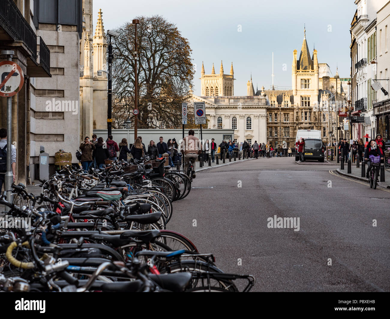 Viste lungo Trumpington Street verso kings Parade, Cambridge, Inghilterra, Regno Unito. Foto Stock