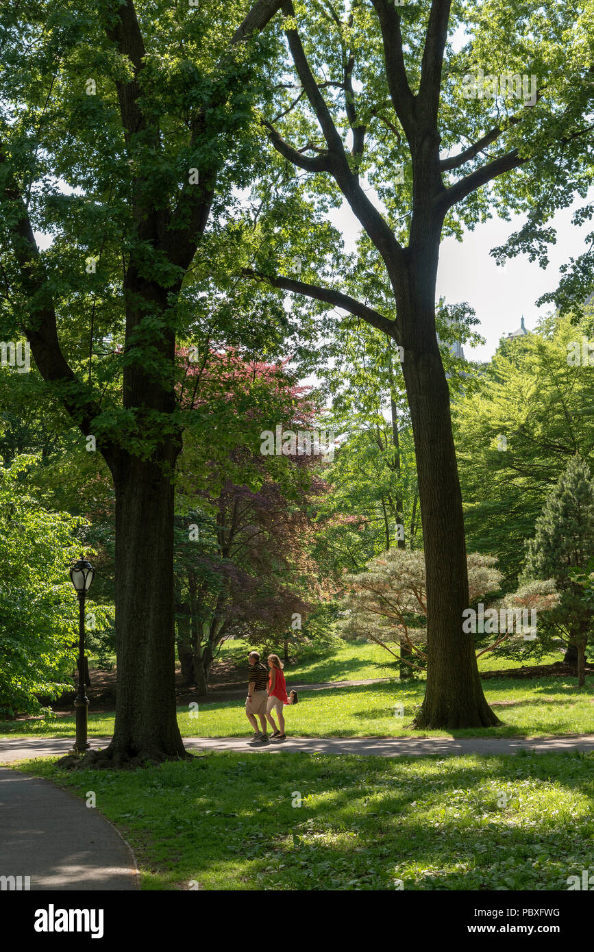 Central Park, Manhattan, New York STATI UNITI D'AMERICA, Summertimes e un paio di fare una passeggiata nel famoso parco. Foto Stock