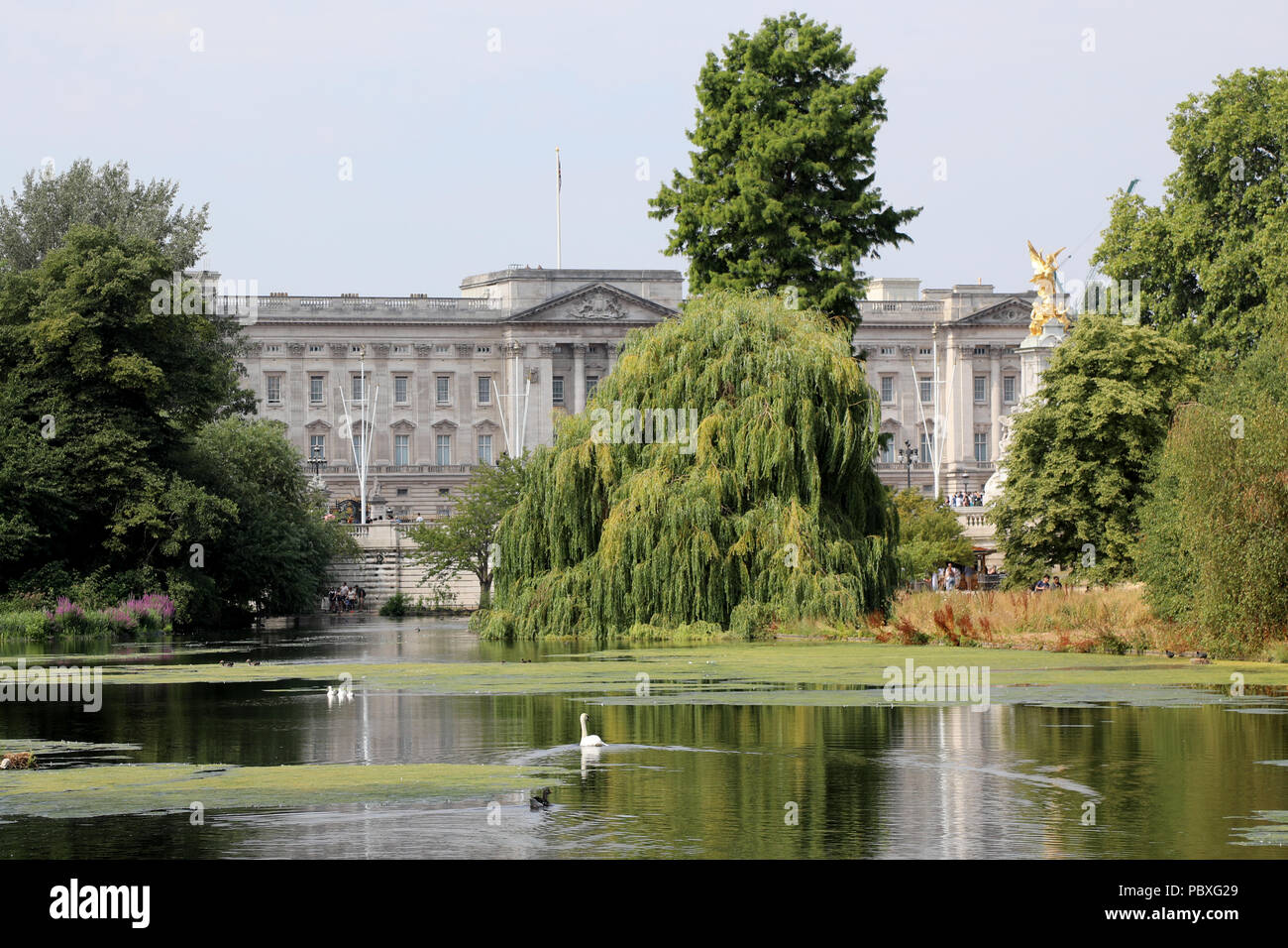 London / UK - 26 Luglio 2018: Vista di Buckingham Palace la casa del monarca britannico, attraverso gli alberi di St James Park nel centro di Londra Foto Stock