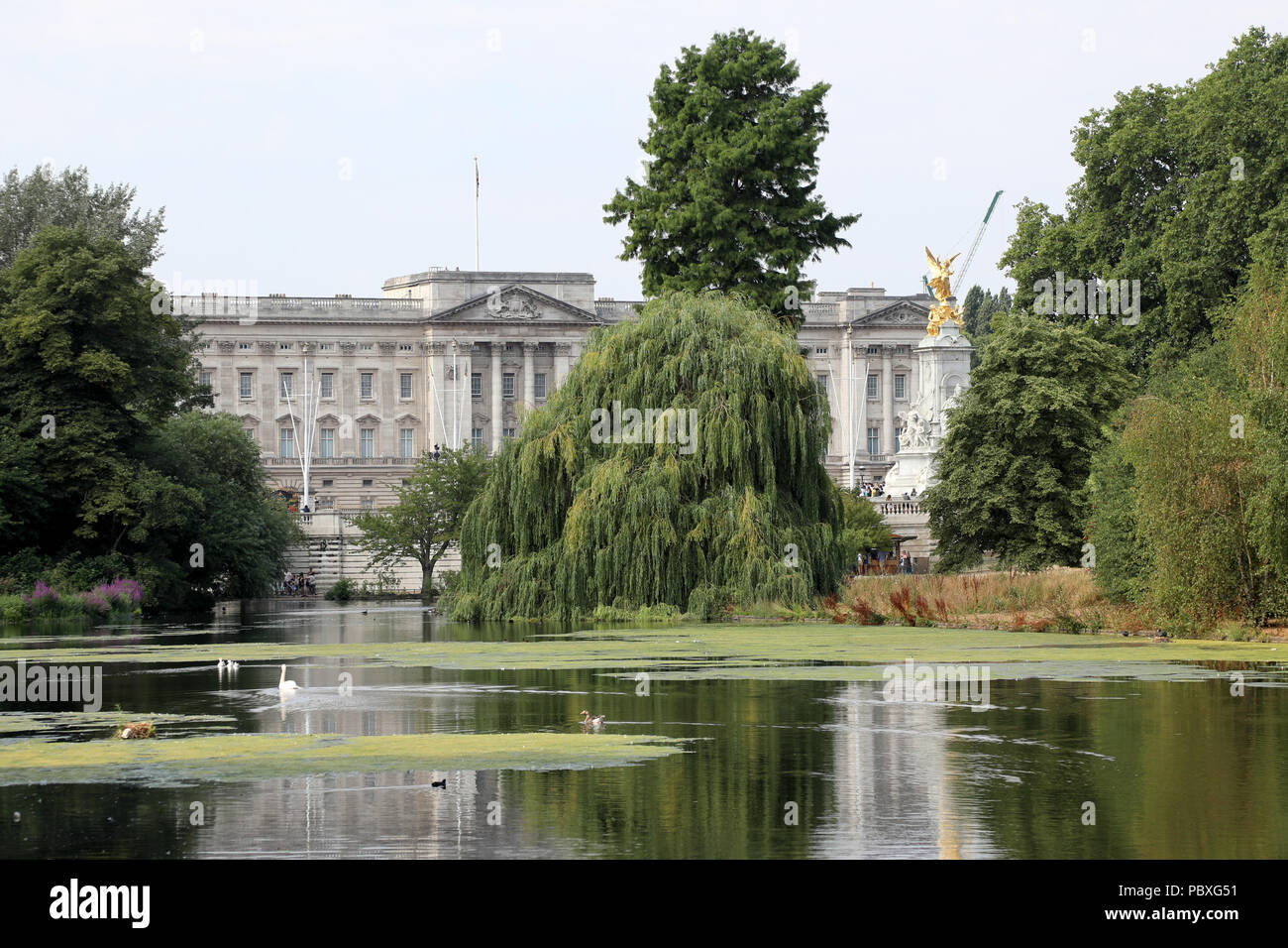 London / UK - 26 Luglio 2018: Vista di Buckingham Palace la casa del monarca britannico, attraverso gli alberi di St James Park nel centro di Londra Foto Stock