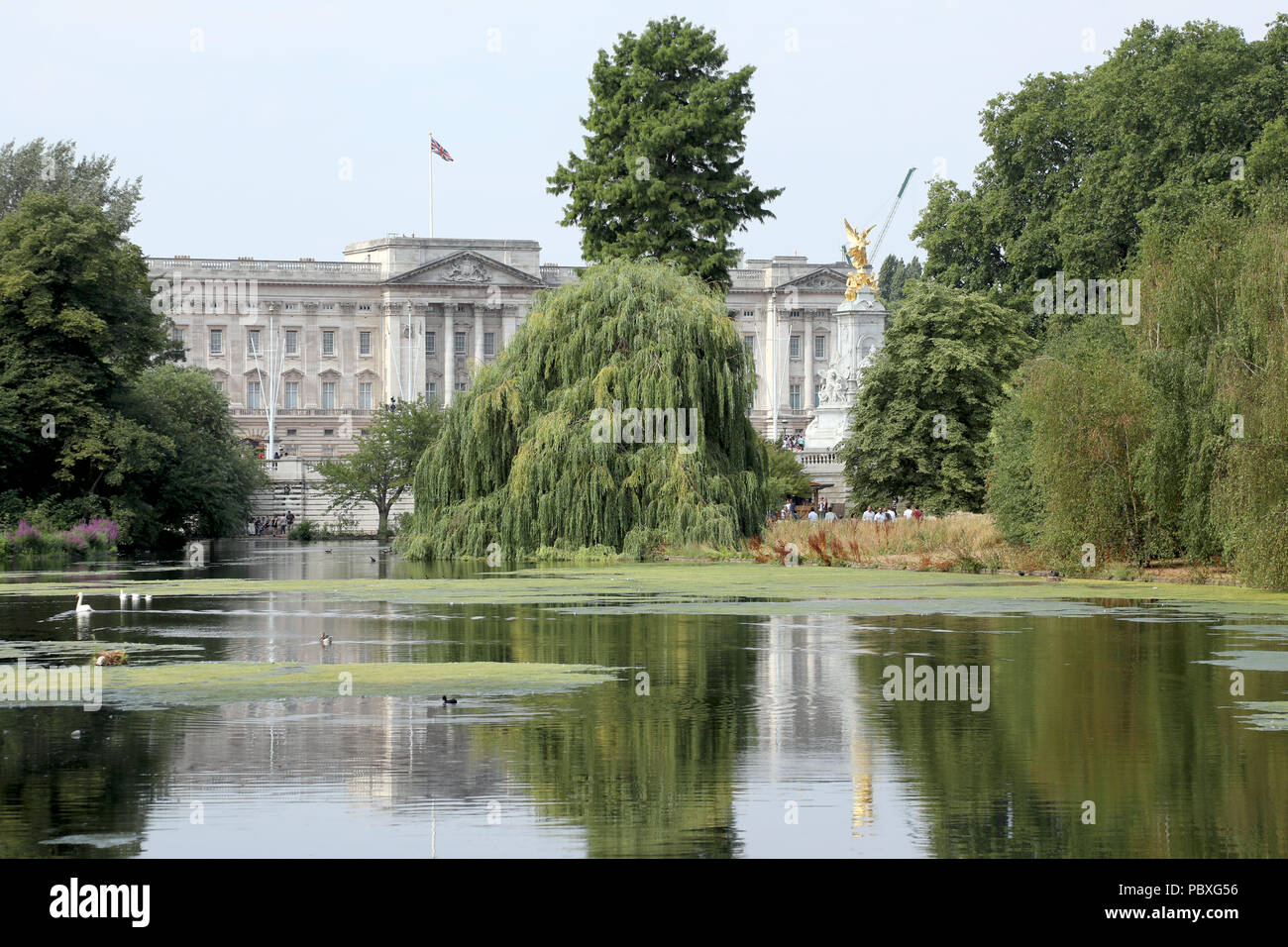 London / UK - 26 Luglio 2018: Vista di Buckingham Palace la casa del monarca britannico, attraverso gli alberi di St James Park nel centro di Londra Foto Stock