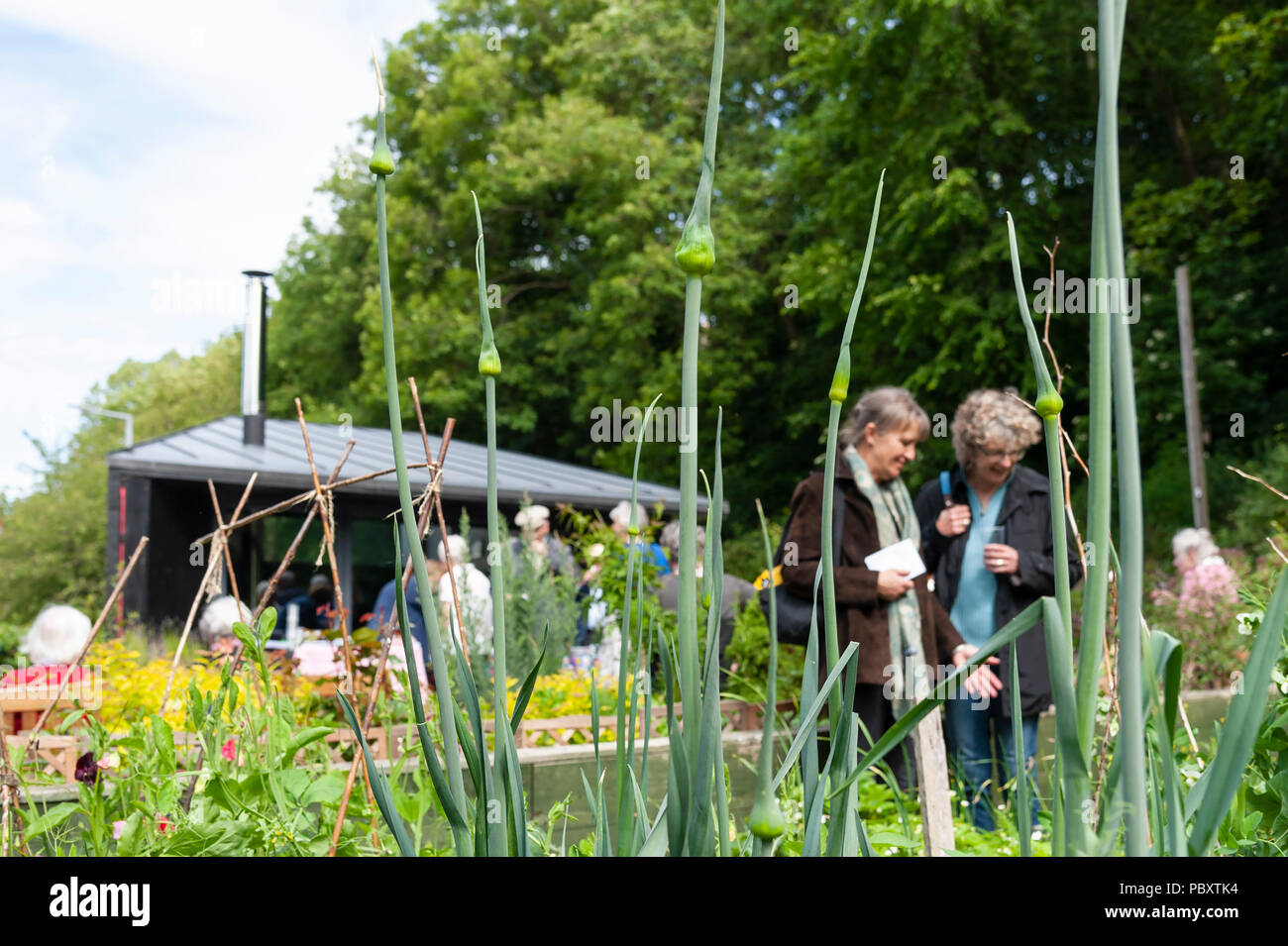 Gli ospiti godono di un riparto open day, giardini aperti in Scozia. Foto Stock