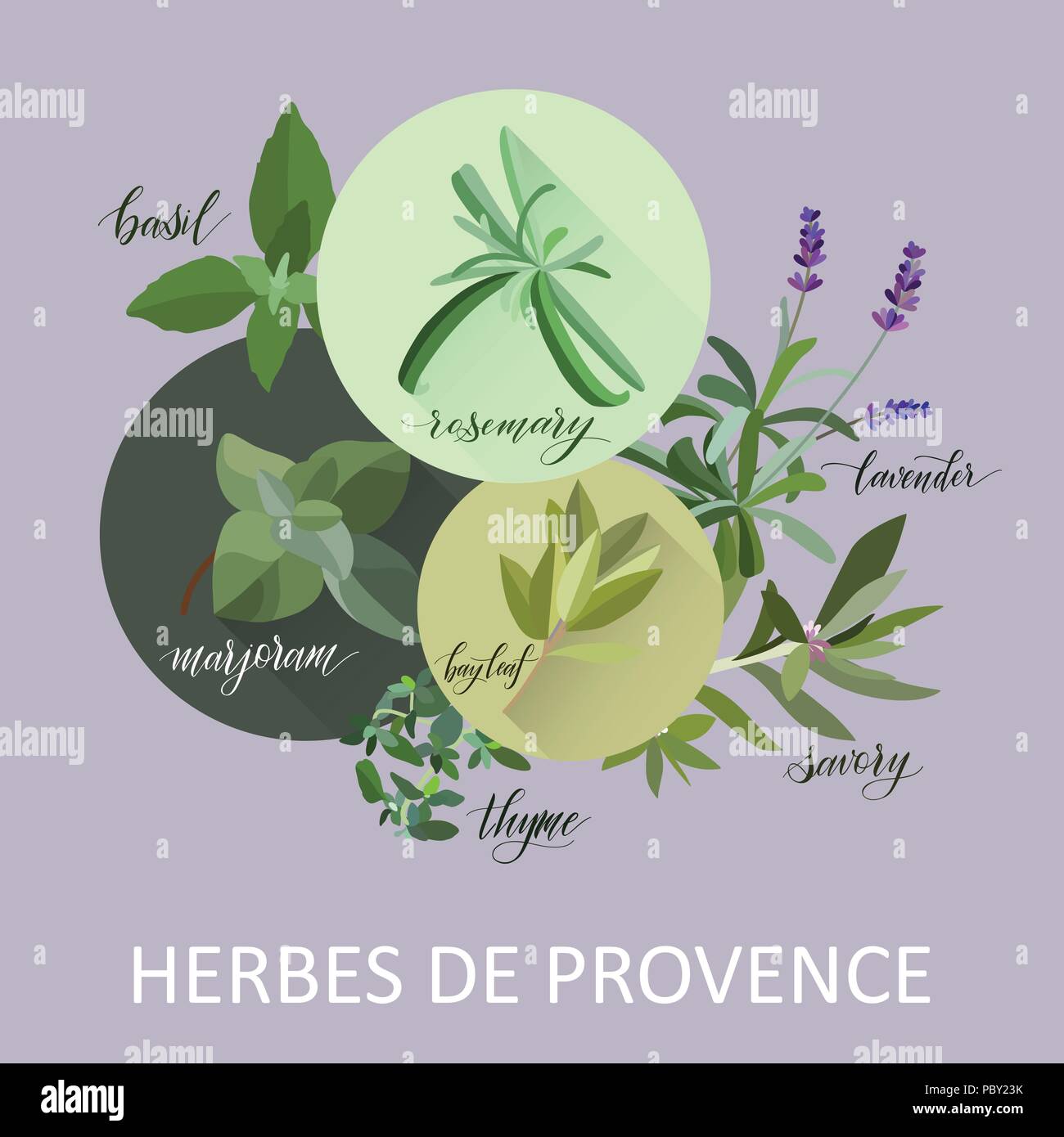 Le erbe di Provenza. Scritto a mano i nomi. Aromatiche erbe di cottura Illustrazione Vettoriale