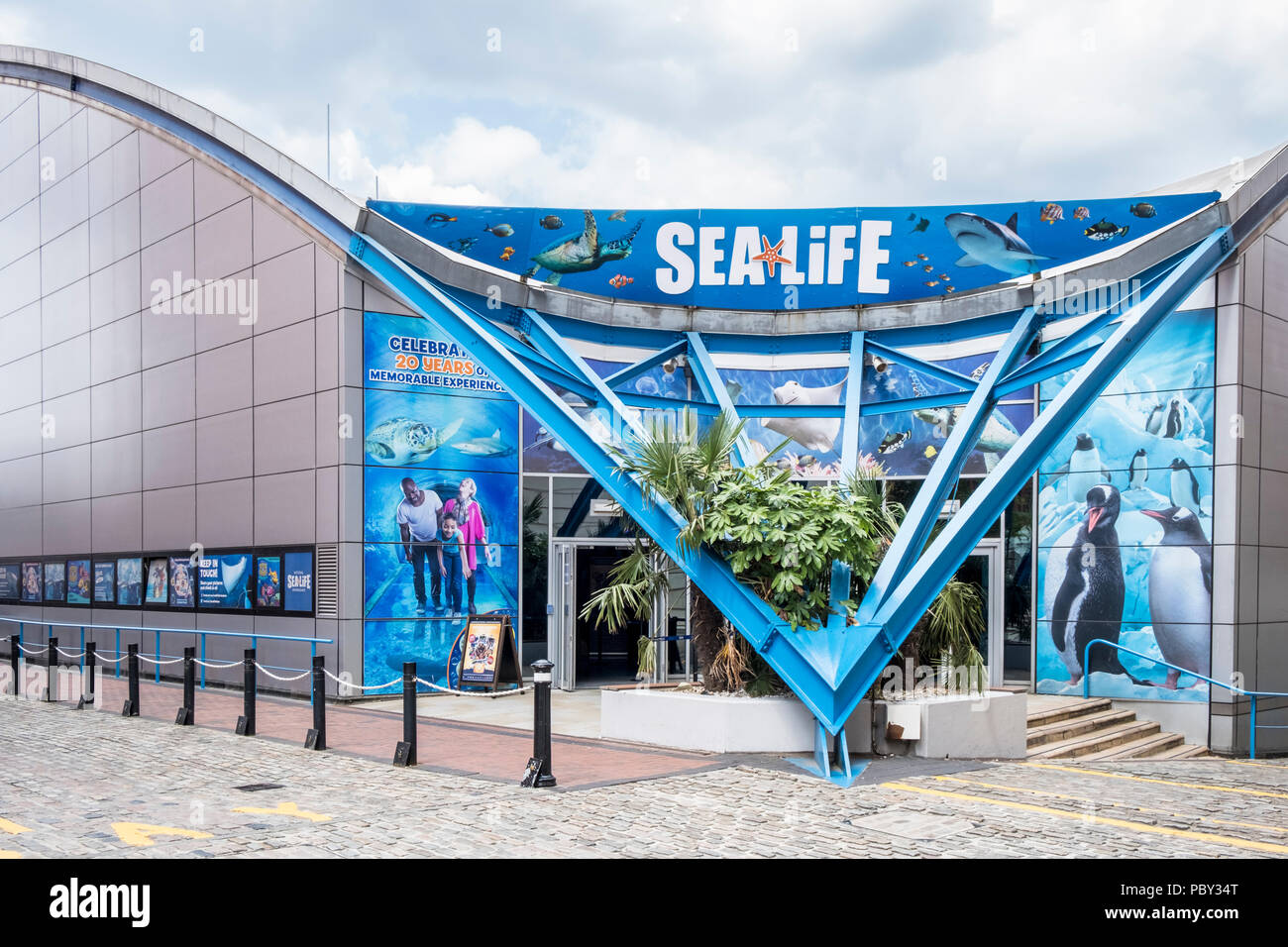 National Sea Life Centre, Birmingham, Inghilterra, Regno Unito Foto Stock