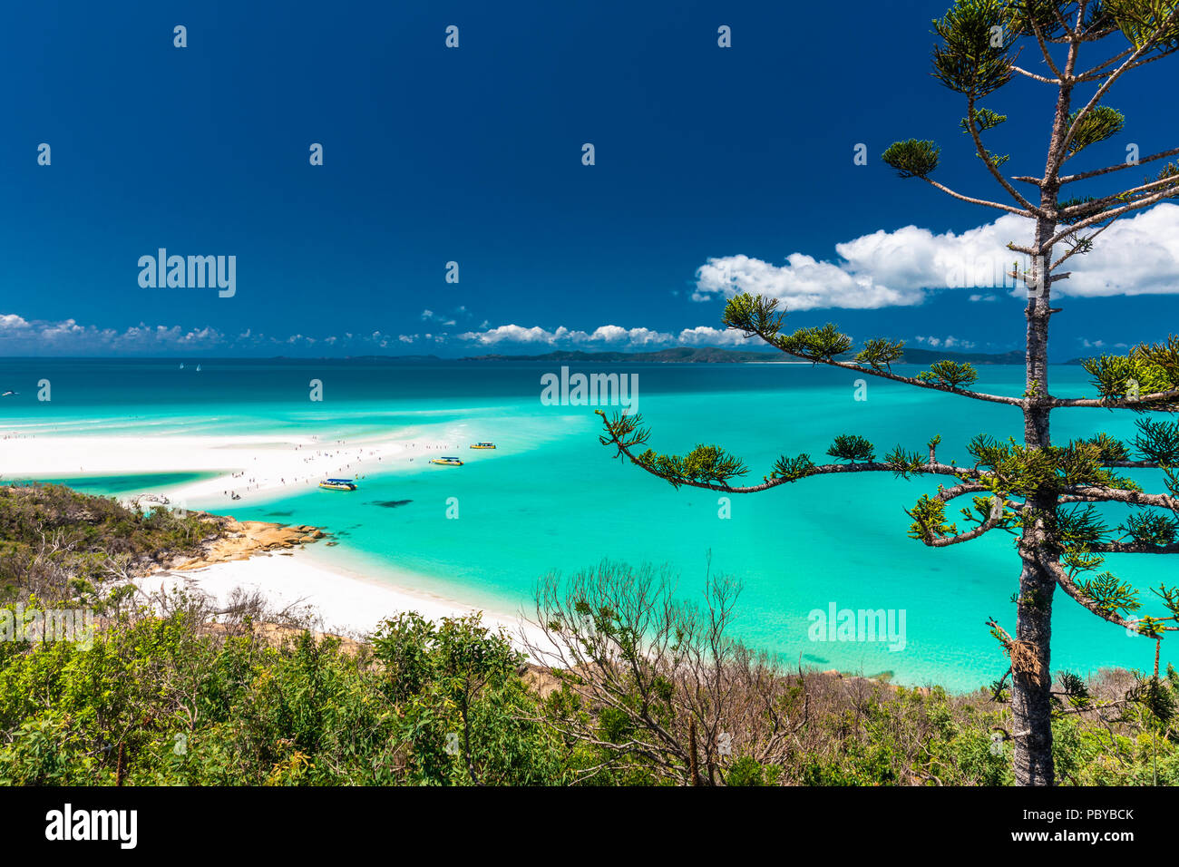 Vista panoramica della sorprendente Whitehaven Beach nelle isole Whitsunday, Queensland, Australia Foto Stock