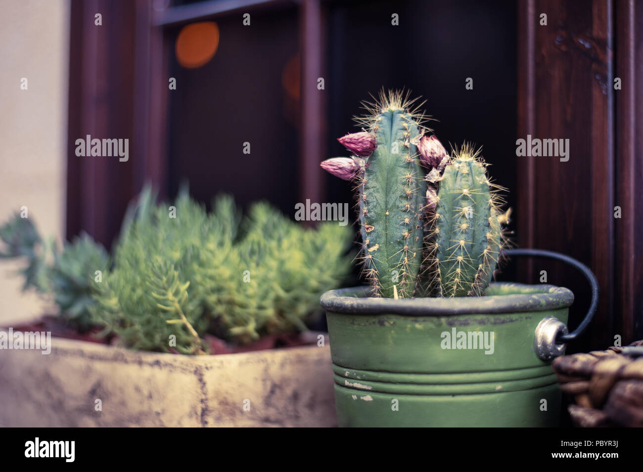 Accogliente casa con persiane di legno e vasi con fiori su windows Foto Stock