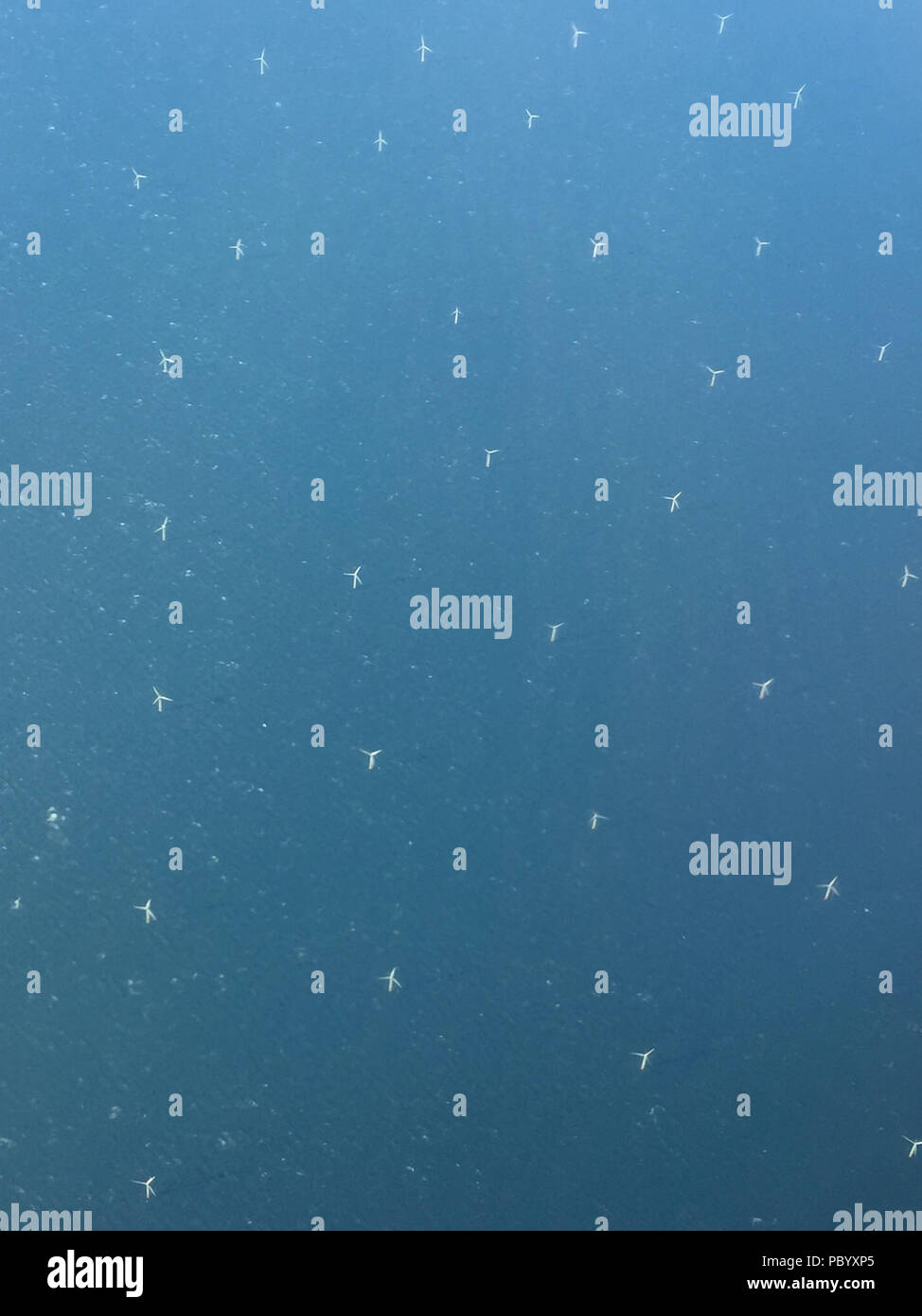 Sulle turbine eoliche offshore fotografata da elevato overhead Foto Stock