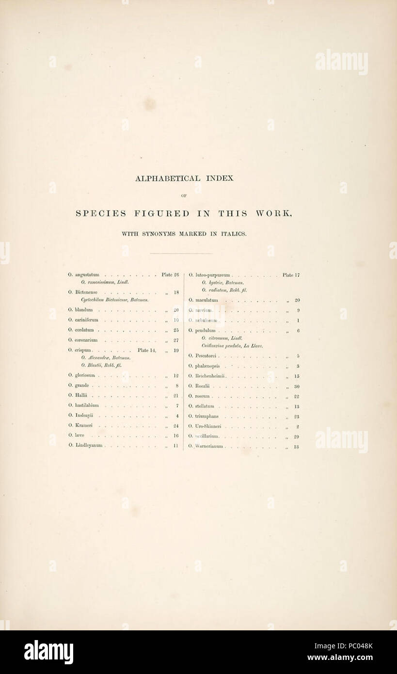 296 Index-Bateman - Una monografia di Odontoglossum Foto Stock