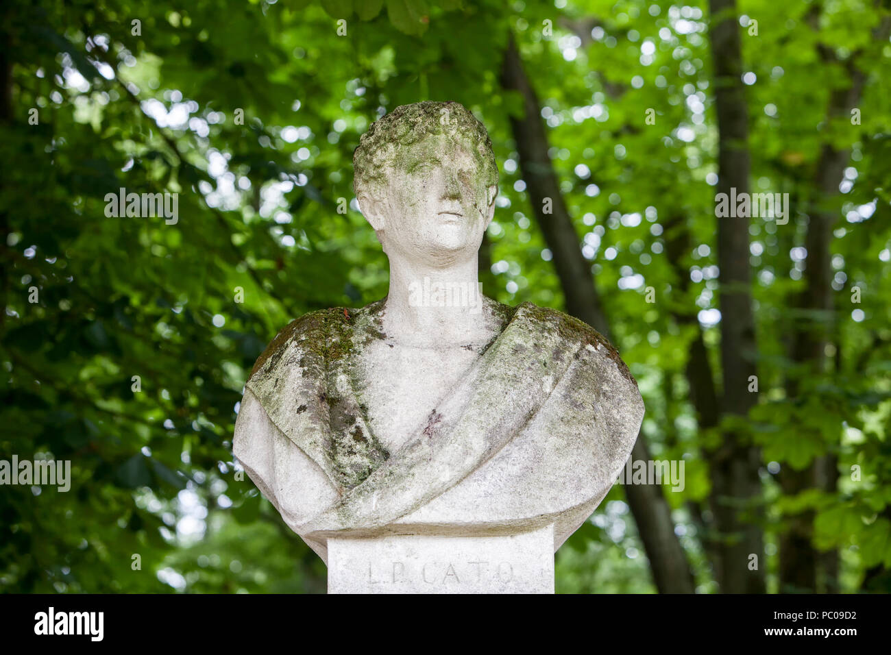 Busto di Lucio Porcius Cato a Nordkirchen Moated Palace, Germania Foto Stock