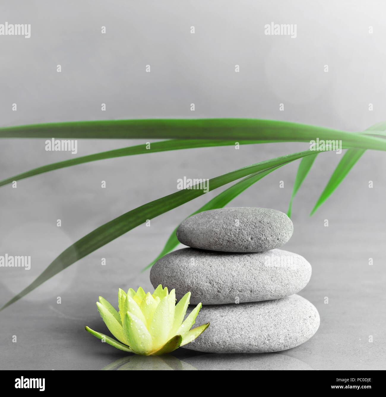 Pietre, Bilanciamento Bianco fiore di lotus e verde foglia di palma. Zen e concetto di spa. Foto Stock