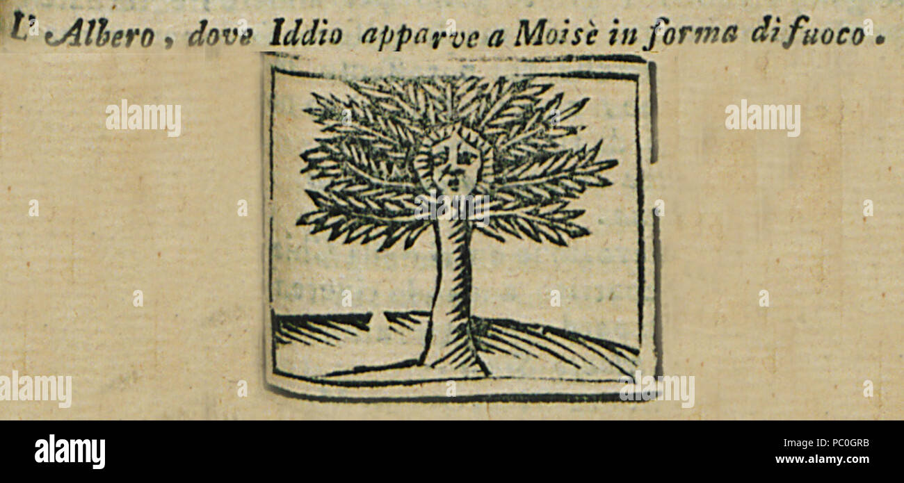 352 L'Albero, Colomba Iddio apparve un Moisè in forma di fuoco - Bianco Noe - 1601 Foto Stock