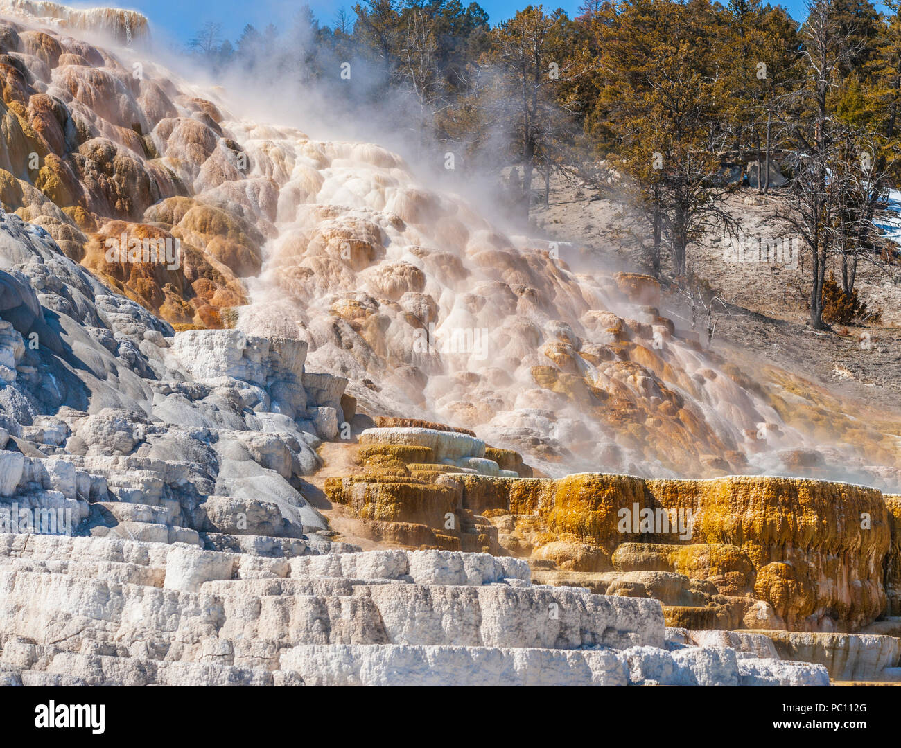 Terrazzi Mammoth Hot Springs in inverno al Parco Nazionale di Yellowstone Foto Stock