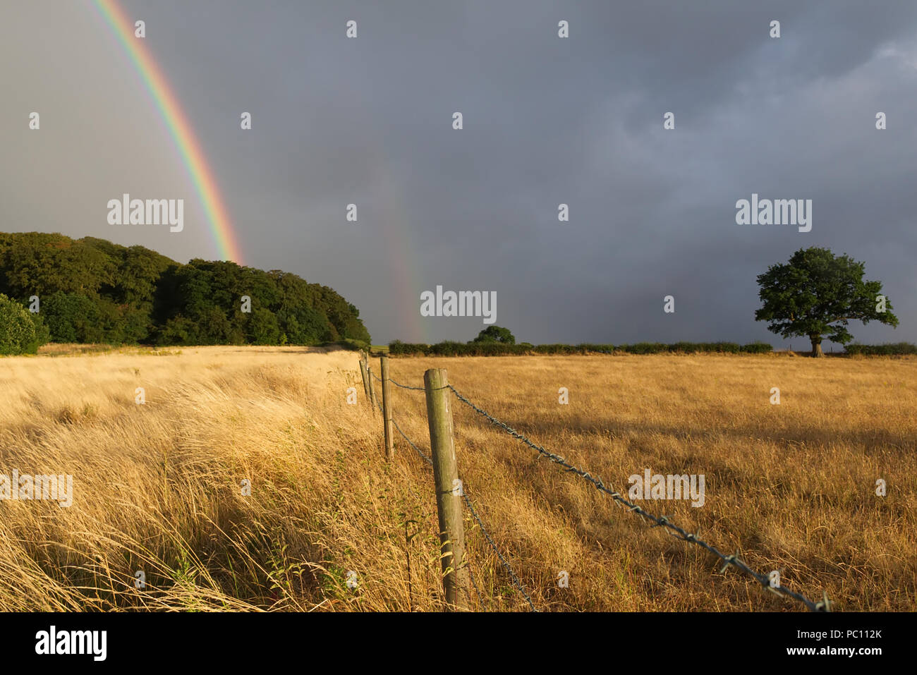 Doppio arcobaleno contro una dark sky atmosferica dopo una tempesta di pioggia a secco con campo di grano in primo piano con un recinto che conduce verso il verde di alberi in th Foto Stock