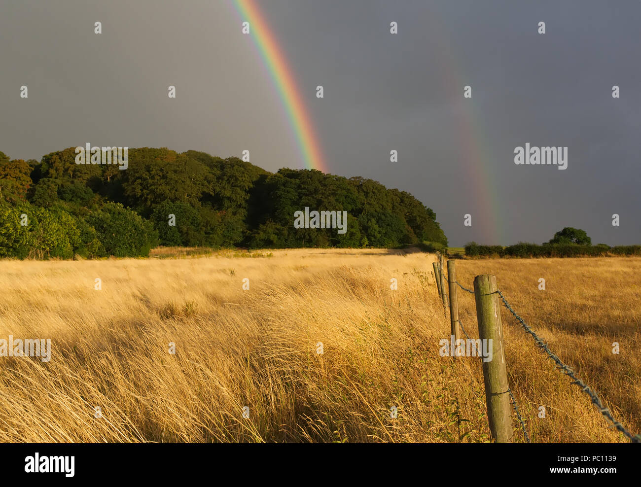 Doppio arcobaleno contro una dark sky atmosferica dopo una tempesta di pioggia a secco con campo di grano in primo piano con un recinto che conduce verso il verde di alberi in th Foto Stock